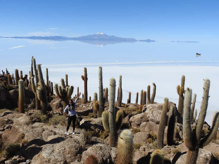 Uyuni: Uyuni Salt Flats and San Pedro de Atacama 3-Day Tour - Who should book this Uyuni tour?