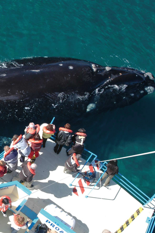 Valdes Peninsula: Full Day with Whale Watching - The early road to Puerto Pirámides