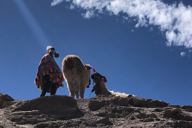 Vinicunca Rainbow Mountain Full-Day Tour from Cusco - Returning by the same route