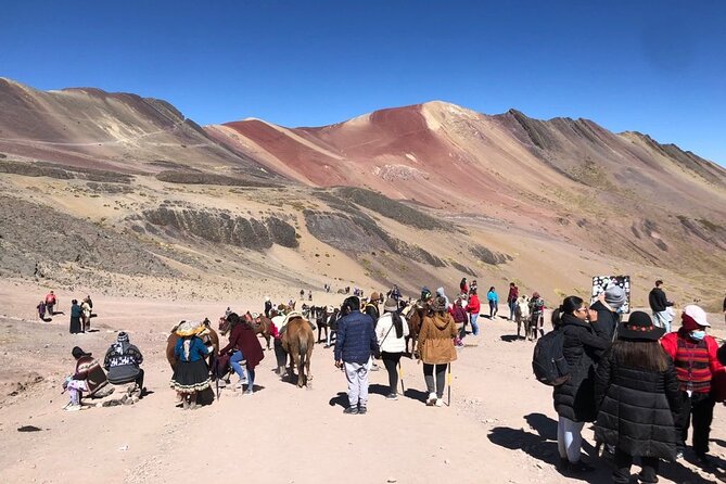 Vinicunca Rainbow Mountain Full-Day Tour from Cusco - Who should book this tour?