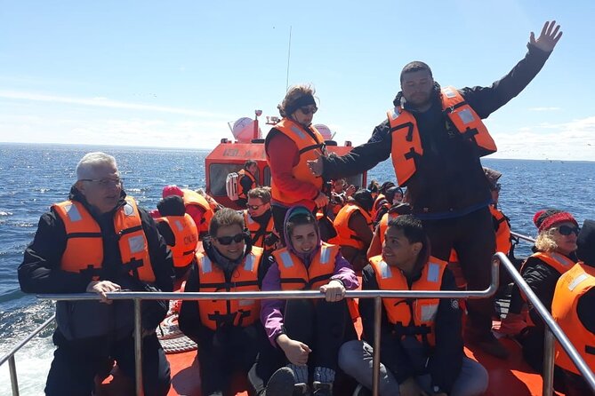 Walk alongside Penguins on Magdalene Island and navigate Marta Island - The boat ride is part of the price