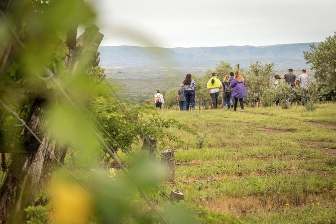 Wine Tour Privado a Calamuchita, Córdoba - Argentina - Talking with Laura, Mariano, and the winery team