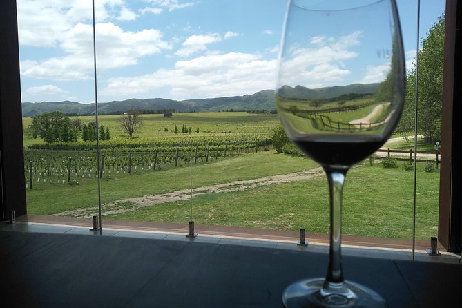 Wine Tour Privado a Calamuchita, Córdoba - Argentina - Food, views, and the full-day rhythm
