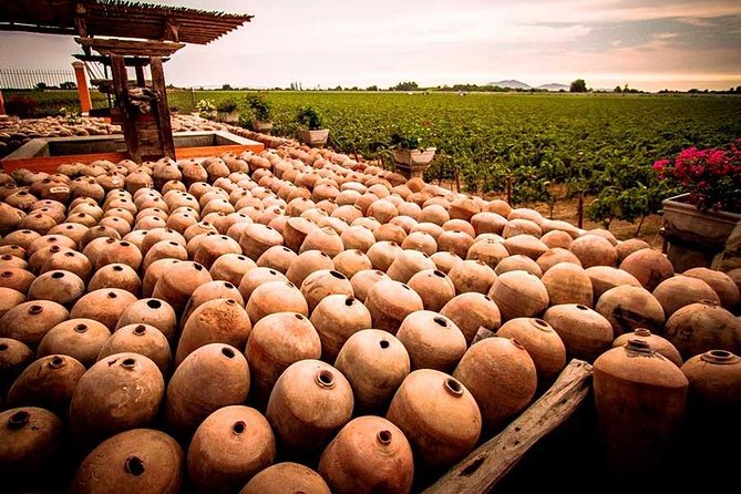 Winery and Pisco Distillery tour - What the guides add to the day