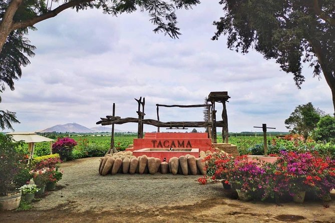 Winery and Pisco Distillery tour - Is $30.77 a fair price?