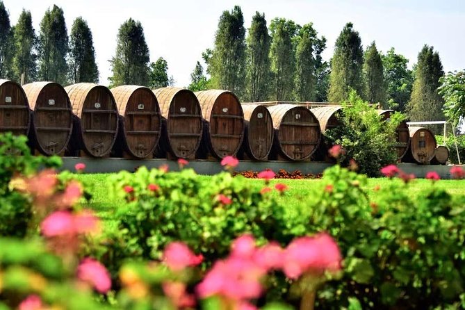 Winery and Pisco Distillery tour - La Vieja Bodega Lovera and the old cellar