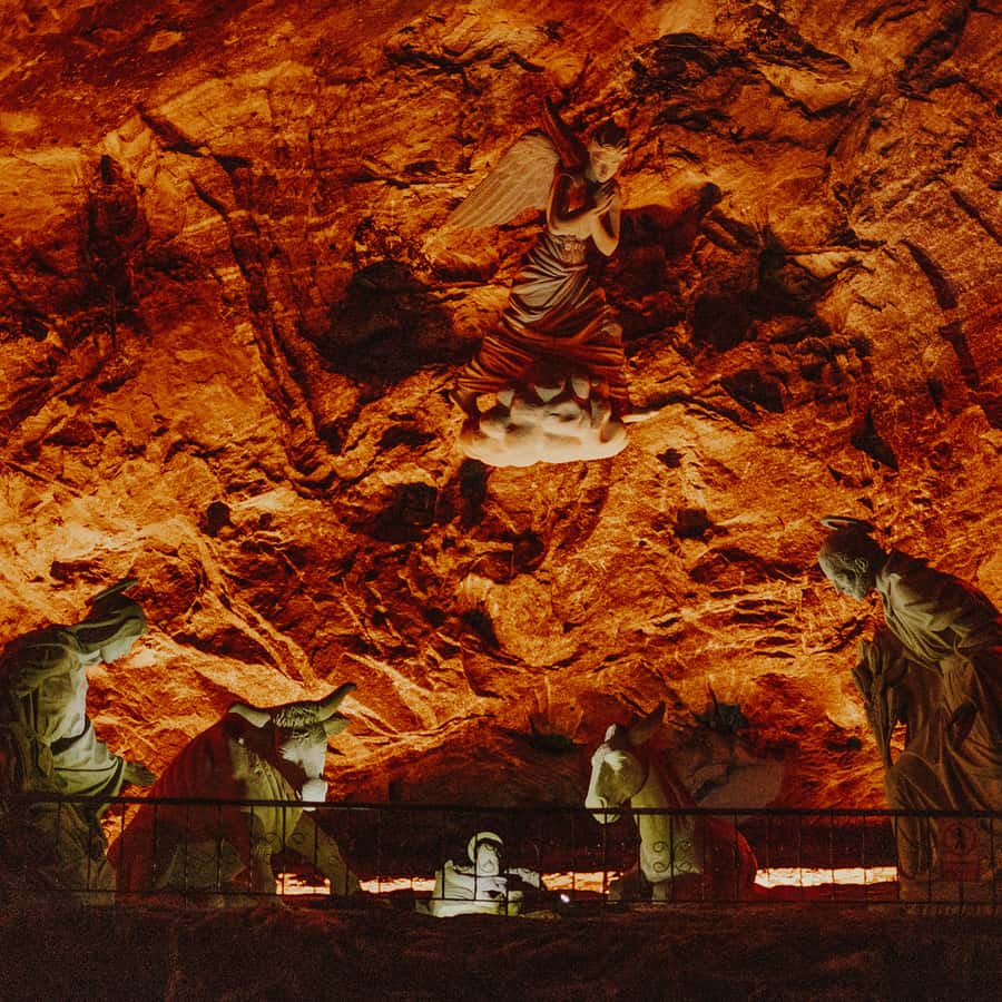 Zipaquirá: Salt Cathedral Group Tour with Pickup - The ride through the Bogotá Savanna